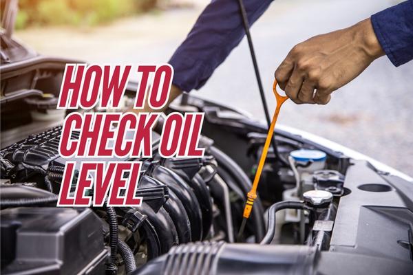 How to Check Oil Level
